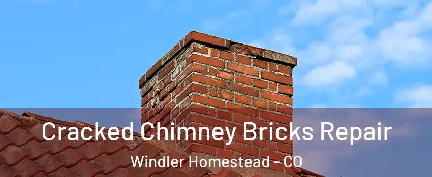 Cracked Chimney Bricks Repair Windler Homestead - CO