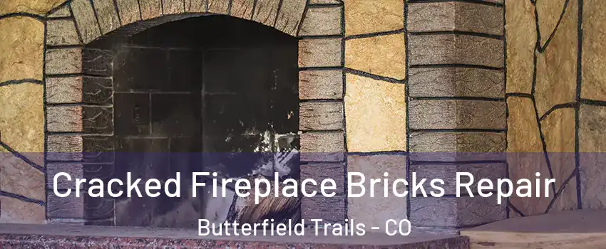 Cracked Fireplace Bricks Repair Butterfield Trails - CO