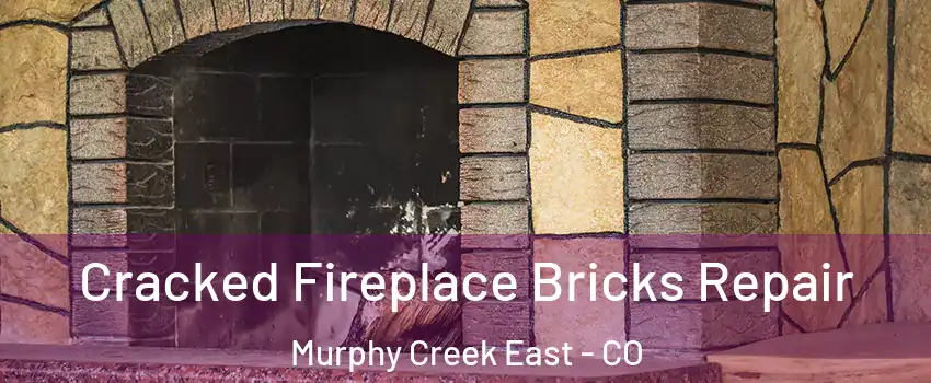 Cracked Fireplace Bricks Repair Murphy Creek East - CO