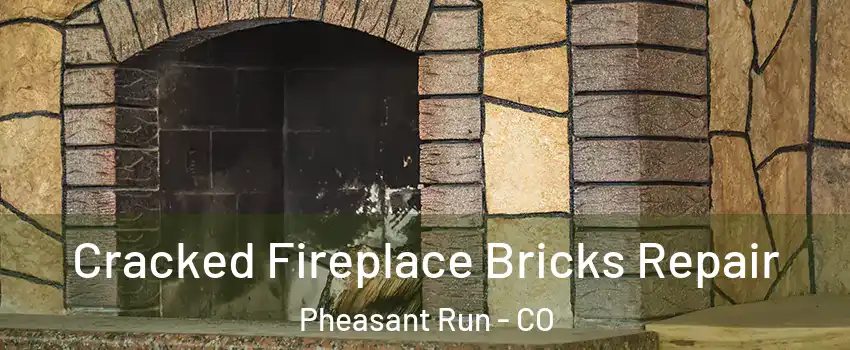 Cracked Fireplace Bricks Repair Pheasant Run - CO