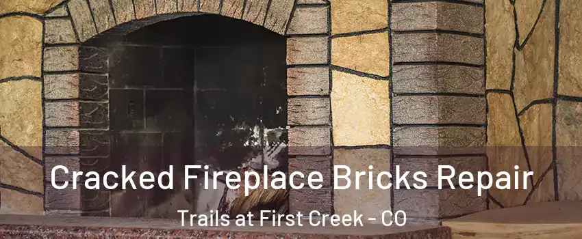 Cracked Fireplace Bricks Repair Trails at First Creek - CO