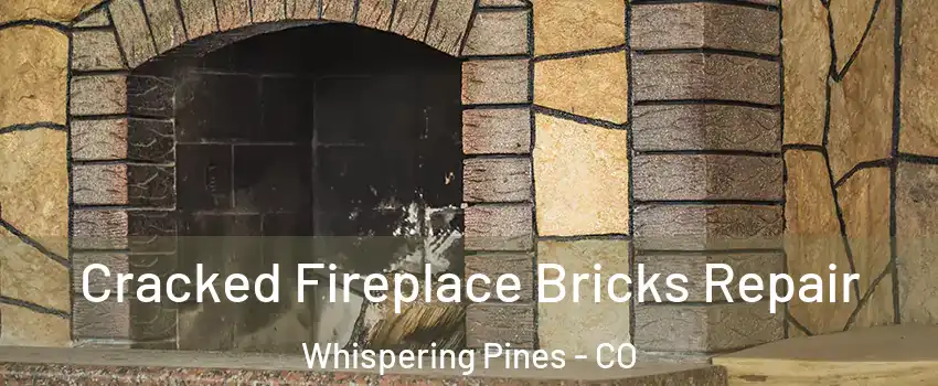 Cracked Fireplace Bricks Repair Whispering Pines - CO