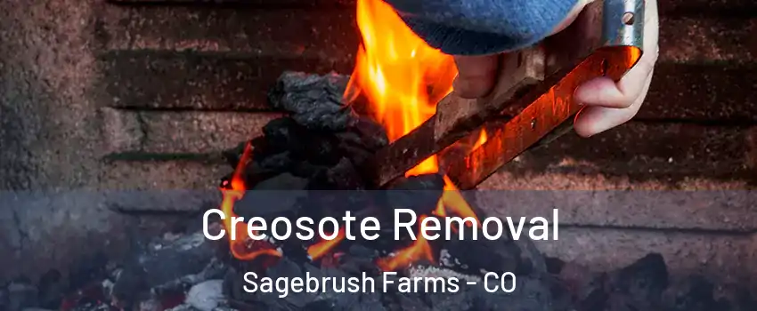 Creosote Removal Sagebrush Farms - CO