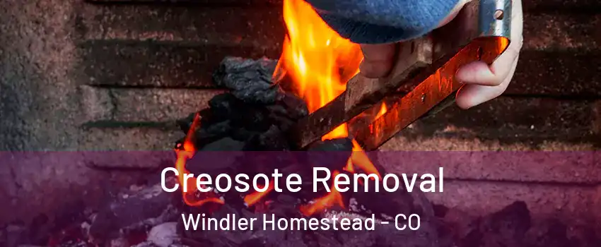 Creosote Removal Windler Homestead - CO