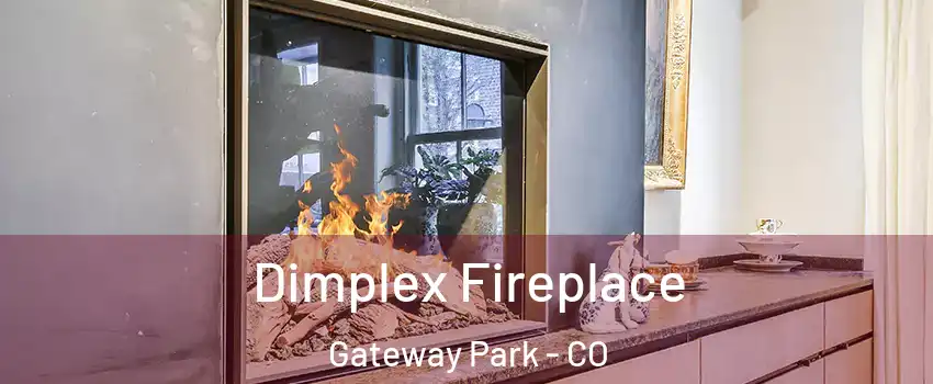 Dimplex Fireplace Gateway Park - CO