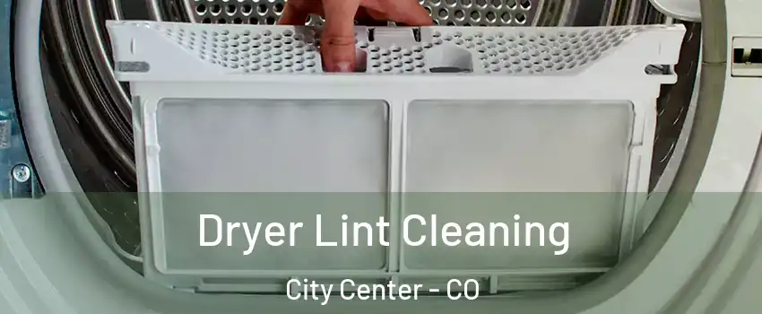 Dryer Lint Cleaning City Center - CO