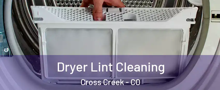 Dryer Lint Cleaning Cross Creek - CO