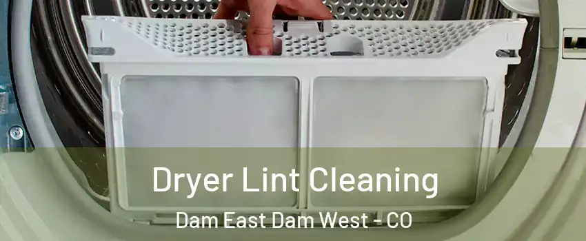 Dryer Lint Cleaning Dam East Dam West - CO