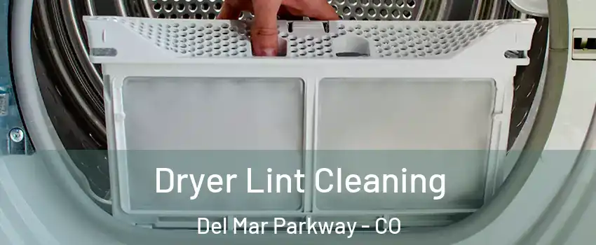 Dryer Lint Cleaning Del Mar Parkway - CO