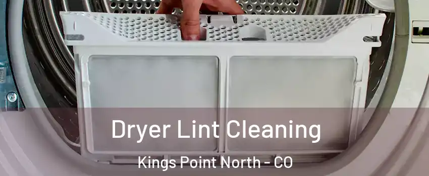 Dryer Lint Cleaning Kings Point North - CO