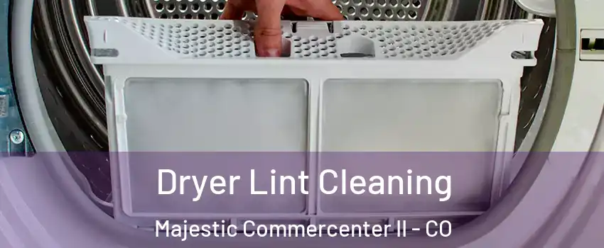 Dryer Lint Cleaning Majestic Commercenter II - CO