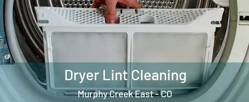 Dryer Lint Cleaning Murphy Creek East - CO