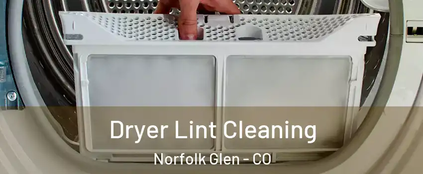 Dryer Lint Cleaning Norfolk Glen - CO