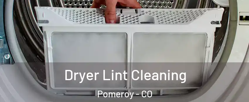 Dryer Lint Cleaning Pomeroy - CO