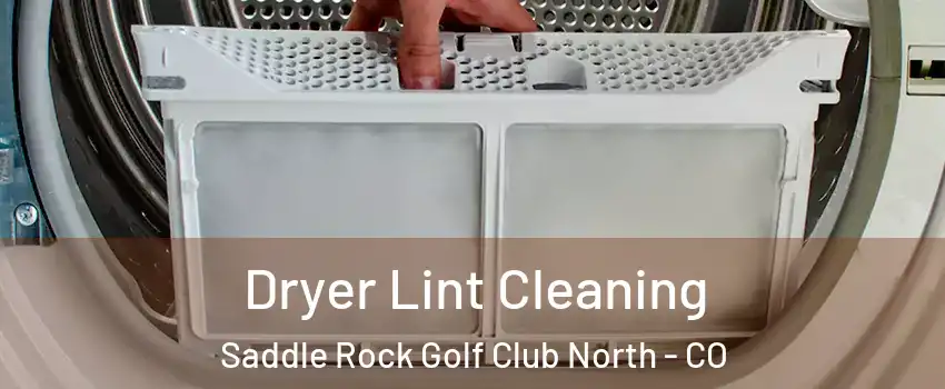 Dryer Lint Cleaning Saddle Rock Golf Club North - CO