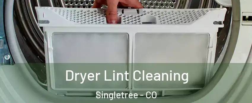 Dryer Lint Cleaning Singletree - CO