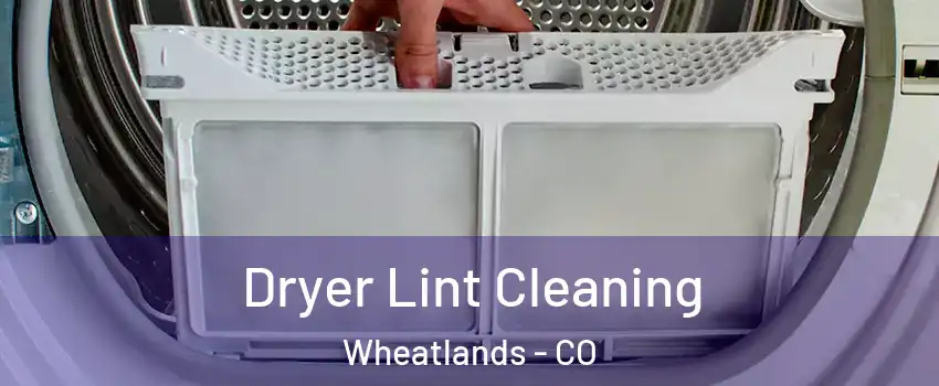 Dryer Lint Cleaning Wheatlands - CO