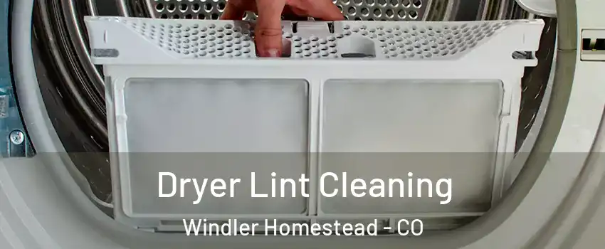 Dryer Lint Cleaning Windler Homestead - CO