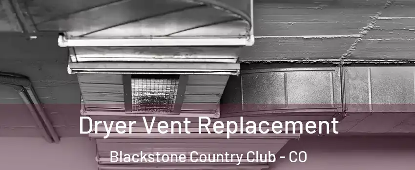 Dryer Vent Replacement Blackstone Country Club - CO