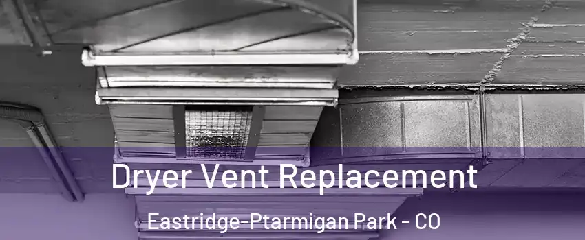 Dryer Vent Replacement Eastridge-Ptarmigan Park - CO