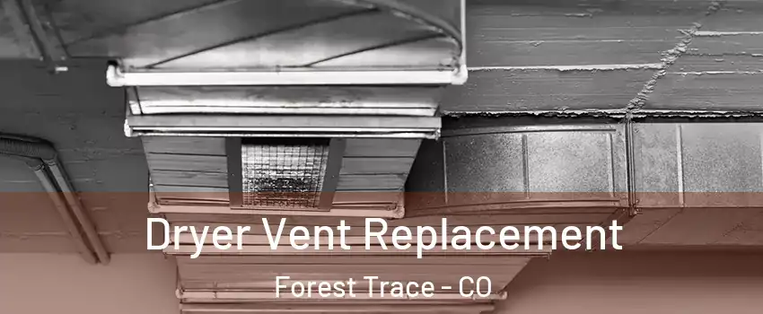 Dryer Vent Replacement Forest Trace - CO