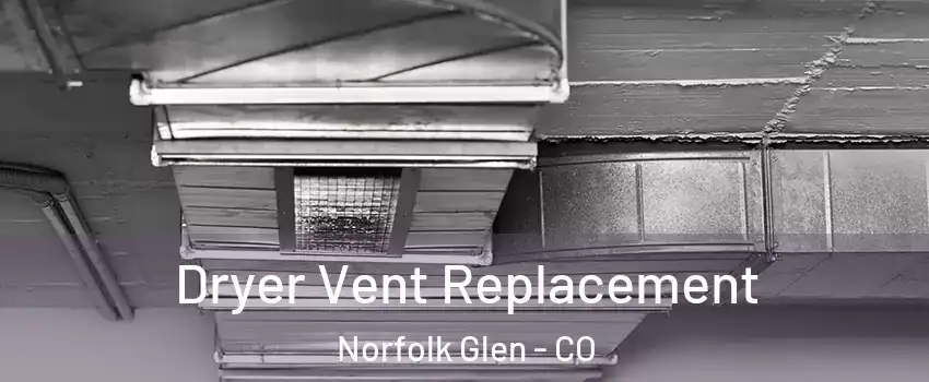 Dryer Vent Replacement Norfolk Glen - CO