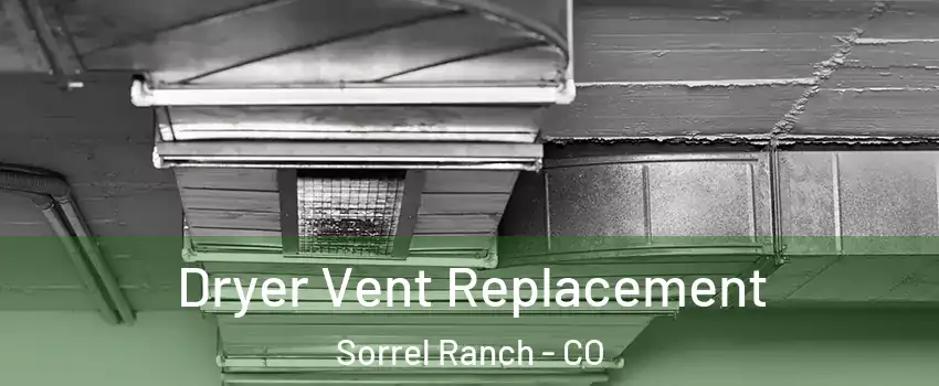 Dryer Vent Replacement Sorrel Ranch - CO