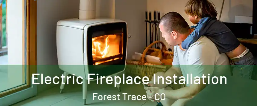 Electric Fireplace Installation Forest Trace - CO