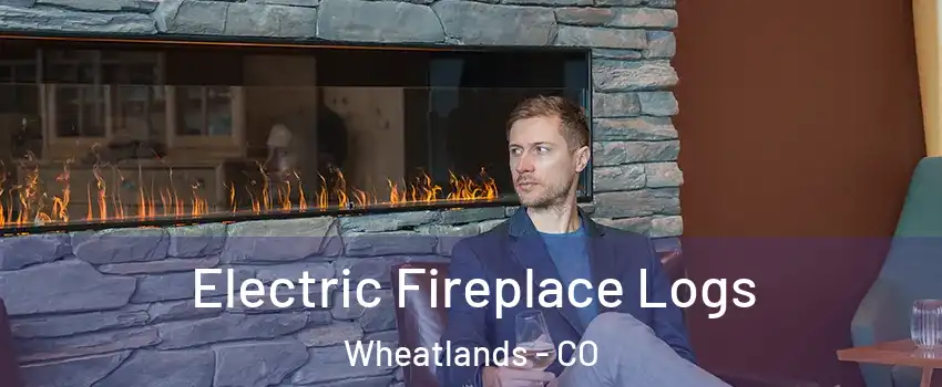 Electric Fireplace Logs Wheatlands - CO