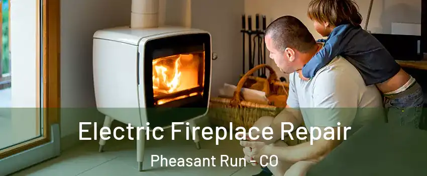 Electric Fireplace Repair Pheasant Run - CO