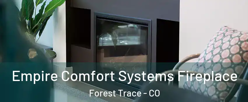 Empire Comfort Systems Fireplace Forest Trace - CO