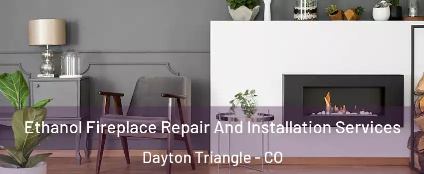 Ethanol Fireplace Repair And Installation Services Dayton Triangle - CO