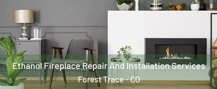 Ethanol Fireplace Repair And Installation Services Forest Trace - CO