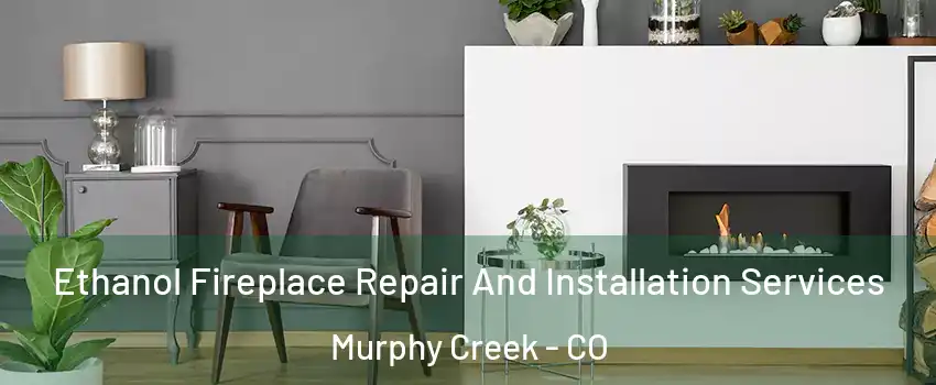 Ethanol Fireplace Repair And Installation Services Murphy Creek - CO