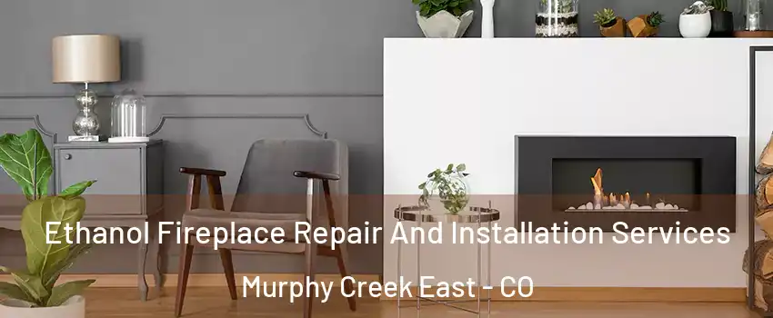 Ethanol Fireplace Repair And Installation Services Murphy Creek East - CO