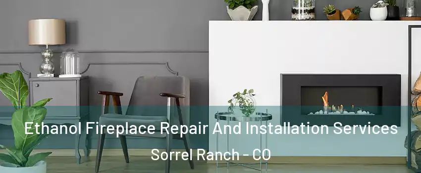 Ethanol Fireplace Repair And Installation Services Sorrel Ranch - CO