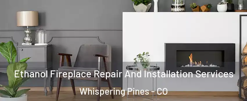 Ethanol Fireplace Repair And Installation Services Whispering Pines - CO