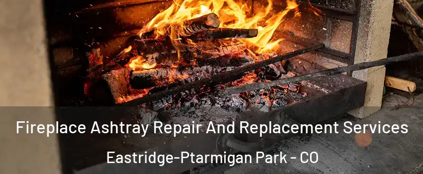 Fireplace Ashtray Repair And Replacement Services Eastridge-Ptarmigan Park - CO