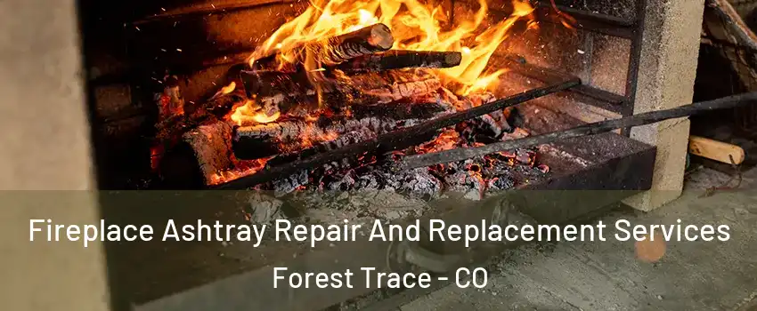 Fireplace Ashtray Repair And Replacement Services Forest Trace - CO