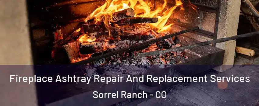 Fireplace Ashtray Repair And Replacement Services Sorrel Ranch - CO