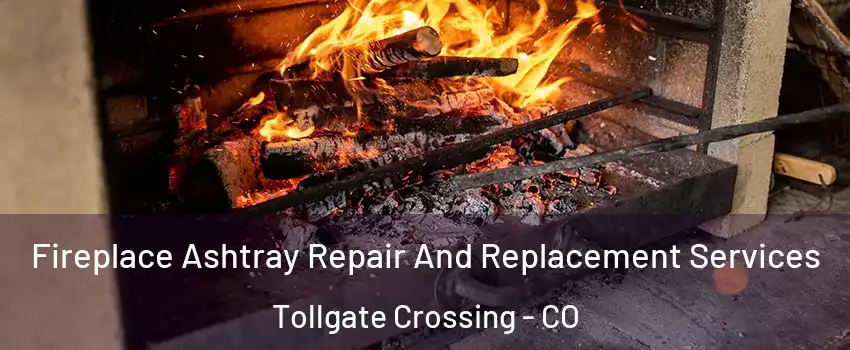 Fireplace Ashtray Repair And Replacement Services Tollgate Crossing - CO