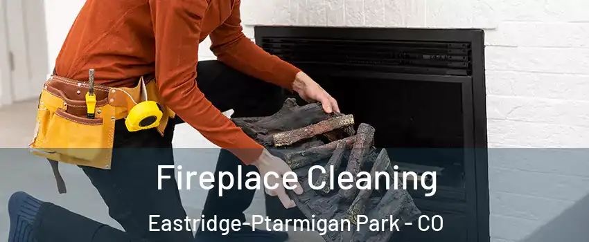 Fireplace Cleaning Eastridge-Ptarmigan Park - CO