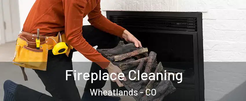 Fireplace Cleaning Wheatlands - CO