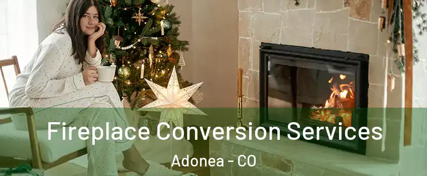 Fireplace Conversion Services Adonea - CO