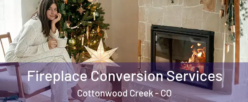 Fireplace Conversion Services Cottonwood Creek - CO