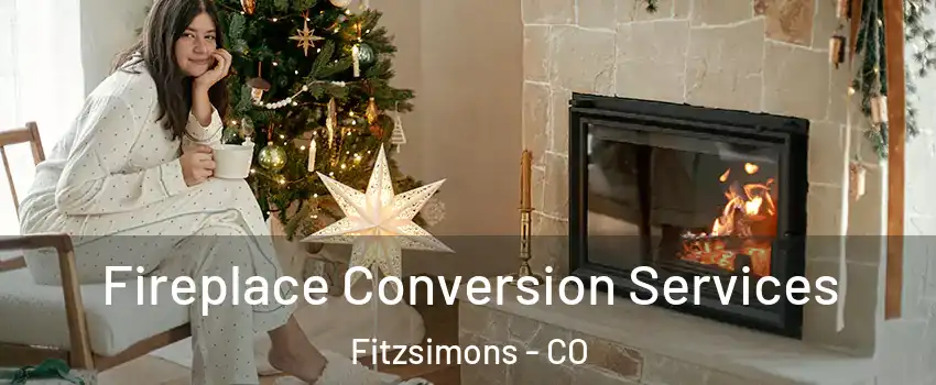 Fireplace Conversion Services Fitzsimons - CO