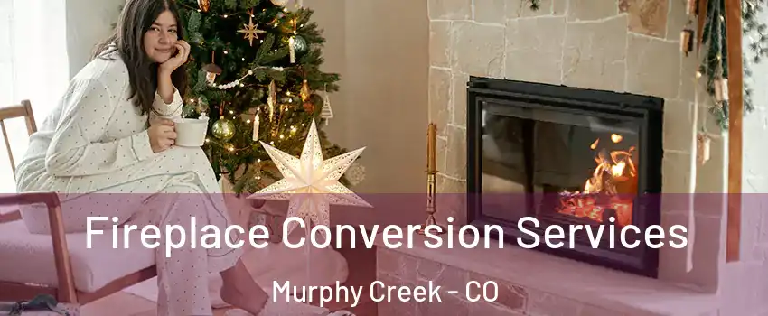 Fireplace Conversion Services Murphy Creek - CO