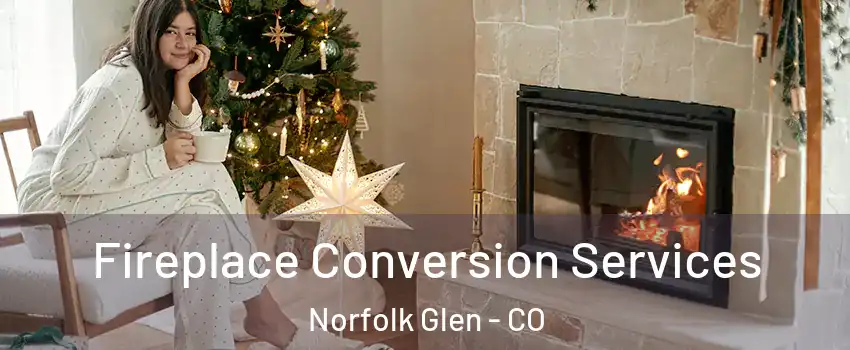 Fireplace Conversion Services Norfolk Glen - CO