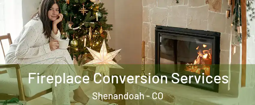 Fireplace Conversion Services Shenandoah - CO