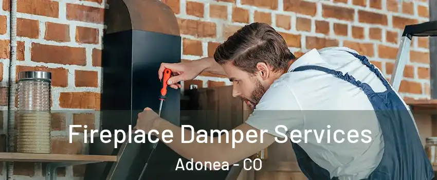 Fireplace Damper Services Adonea - CO